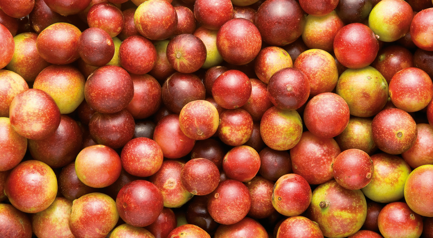 Camu-camu Cressana® Nederland